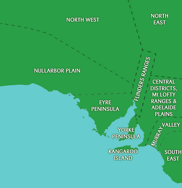 Frogs in SA | FrogWatch SA